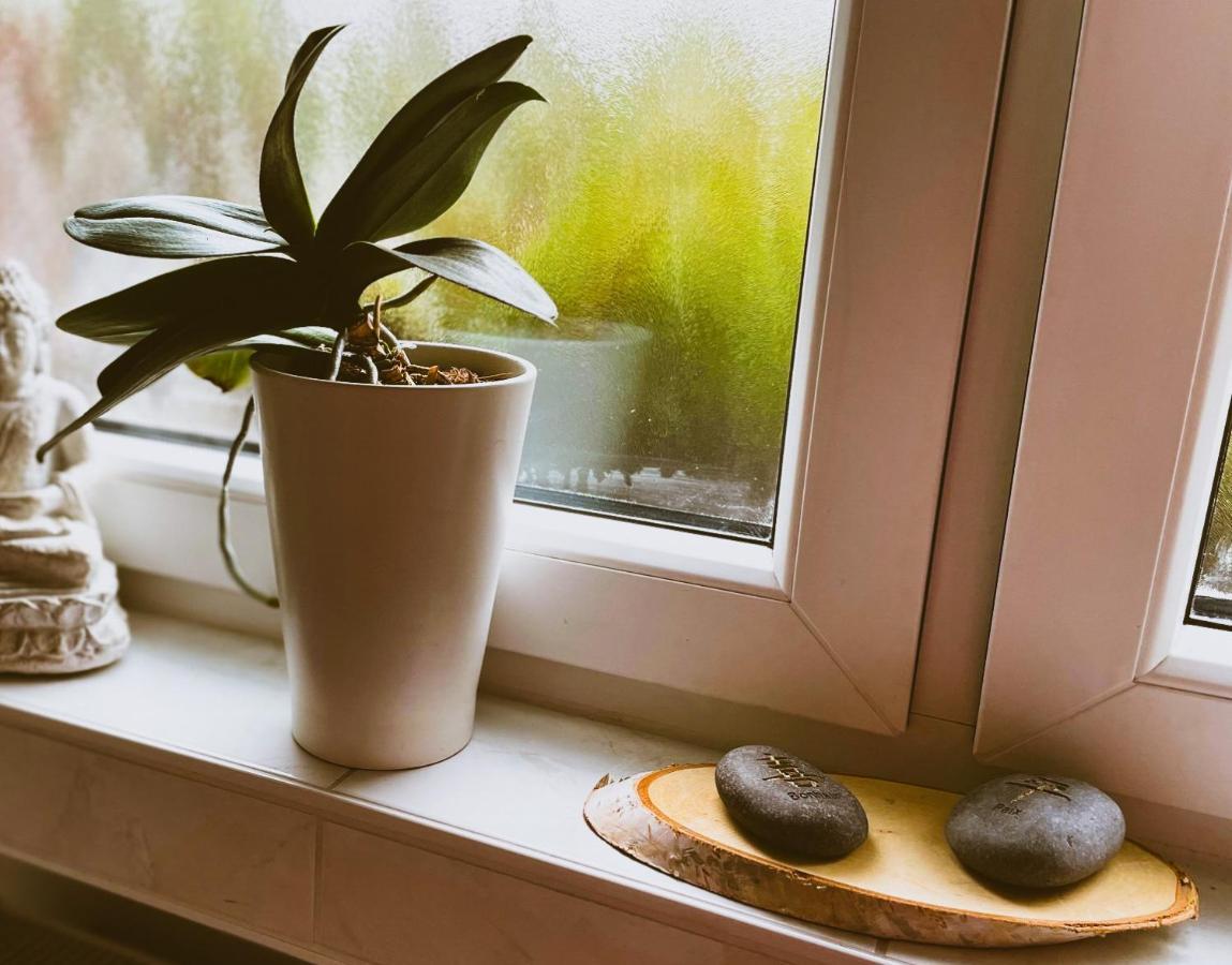 Modernes Appartement Im Gruenen - Stilvoll Und Komfortabel Köln Exterior foto